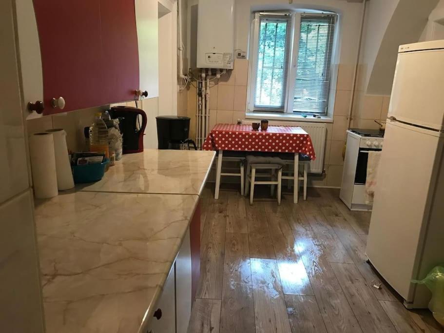 R Castle - 2 Room Apartment Braşov Eksteriør billede