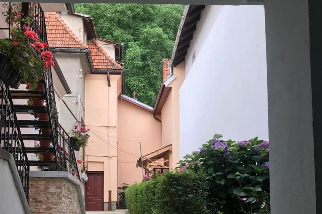 R Castle - 2 Room Apartment Braşov Eksteriør billede